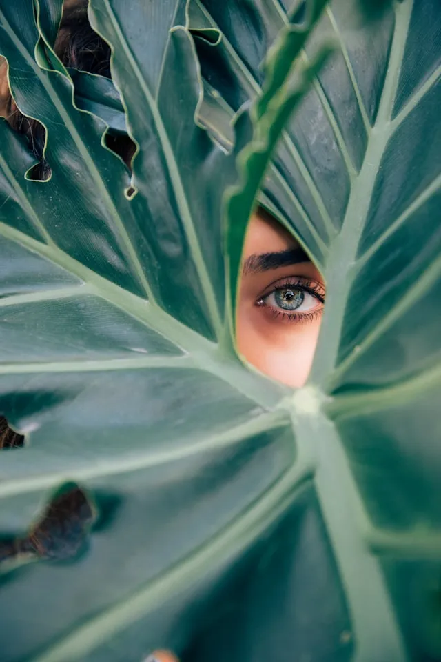 psychotherapie in berlin und online